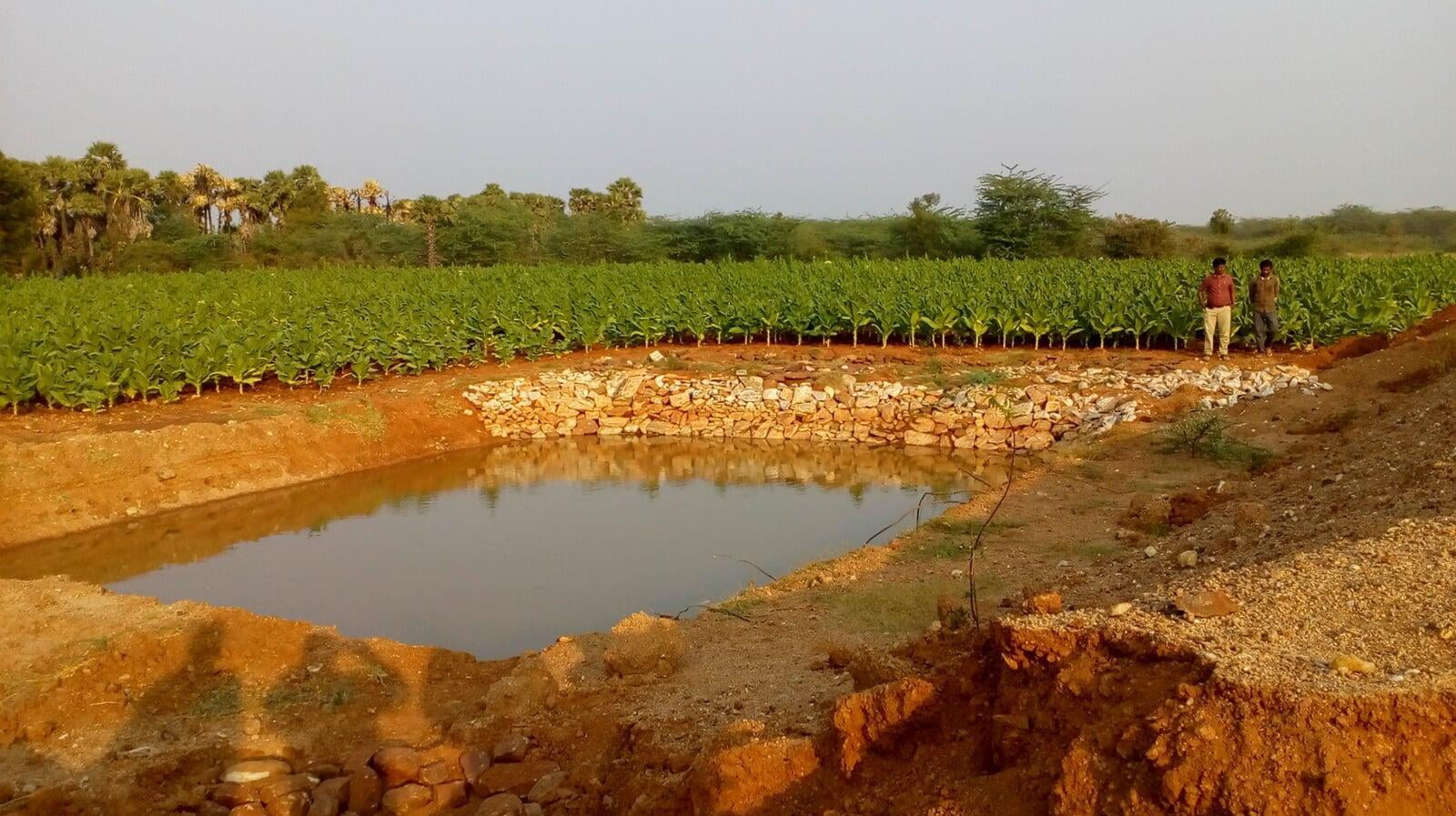 Establishment of Rooftop & Surface Rainwater Harvesting Structures