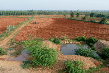 Regenerating Water Bodies